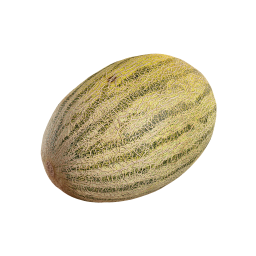 Striped Melon